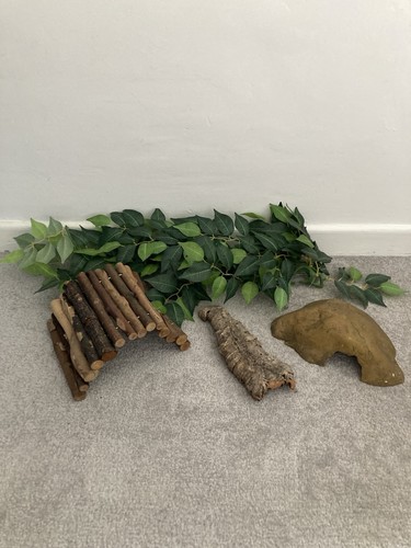 Reptile supplies tank - reptile,