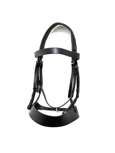 Draft heavy horse - draft,