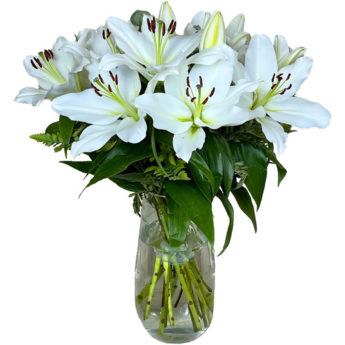 Homeland florists fresh - homeland,
