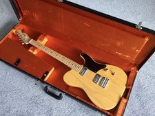 Fender Limited Edition