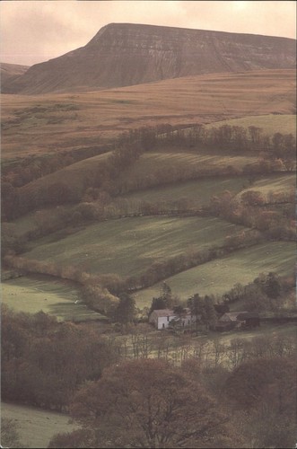 Vintage cymric cards the black - cymric,