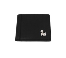 West Highland Terrier Black