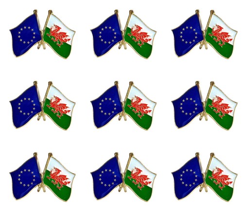 9pcs wales welsh dragon - 9pcs,