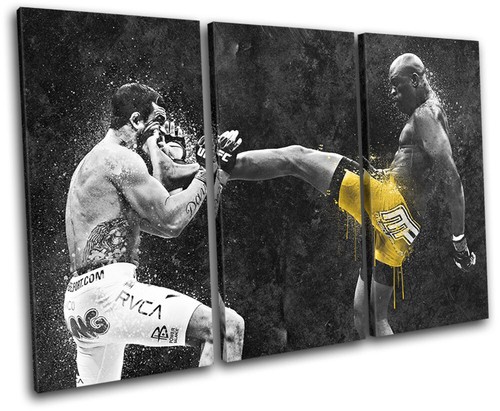 Anderson silva ufc mma - anderson, grunge