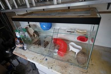 Gerbil Tank 3ft By 1.5ft  By Jungle Pets Plus Extras