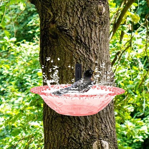 Outdoor bird bath - bird, yard