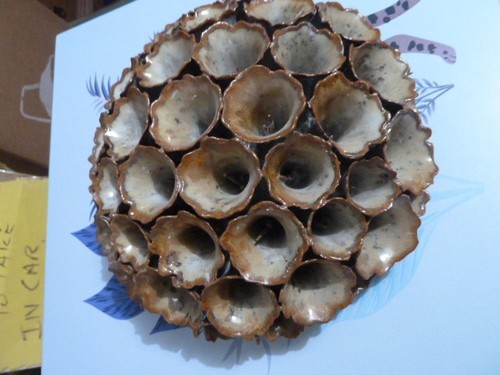 Unusual pottery design - unusual,
