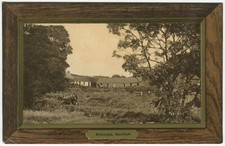 BALHUNGIA, BALHUNGIE FARM? MONIFIETH - Angus Postcard Ideal Series