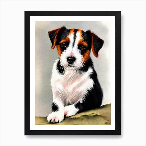 Parson russell terrier - parson, 3