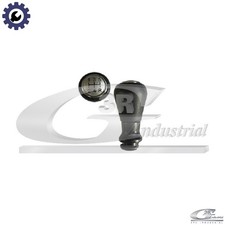 GEAR SHIFT LEVER KNOB 25209 FOR PEUGEOT 206/Van/Hatchback/SW 406/Break 605 1.8L