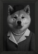 Elegant Akita Inu Portrait in