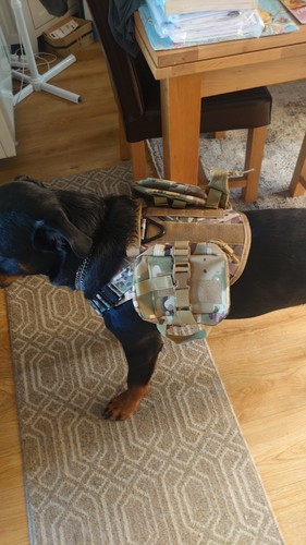 Tactical dog harness with - tactical,