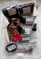 Isopod Millipede invert 3.0L