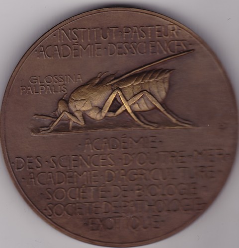 Superb medal professor - superb, e
