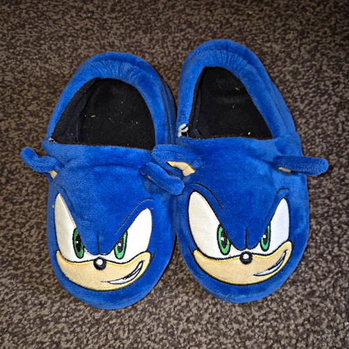 Sonic the hedgehog kids - hedgehog, blue