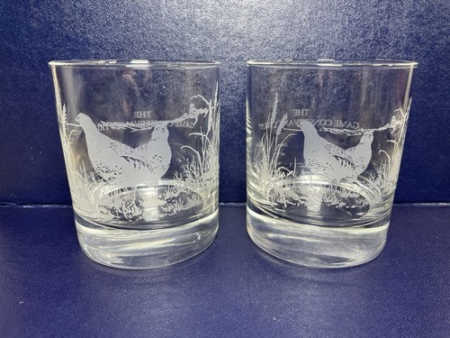 Pair whiskey tumblers - pair,
