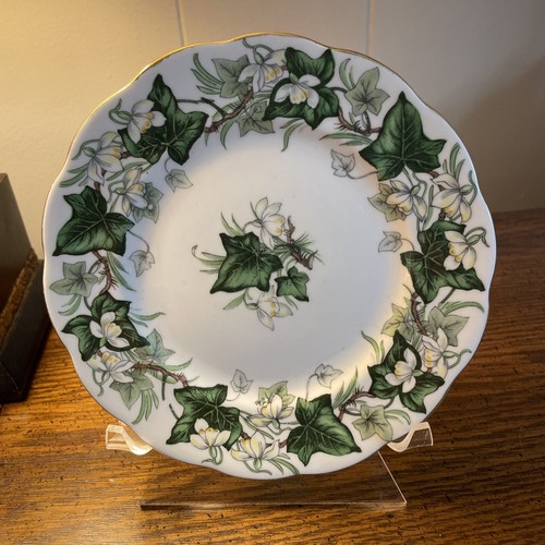 Royal albert bone china - albert, 'ivy