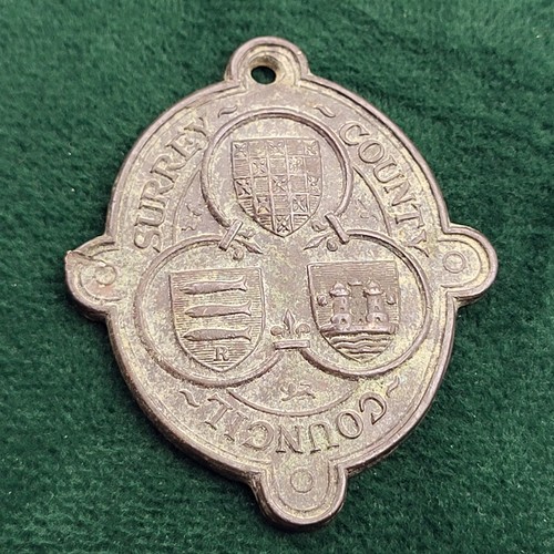 Surrey county council - surrey,