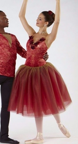 Nwt cardinal red - roses, gold