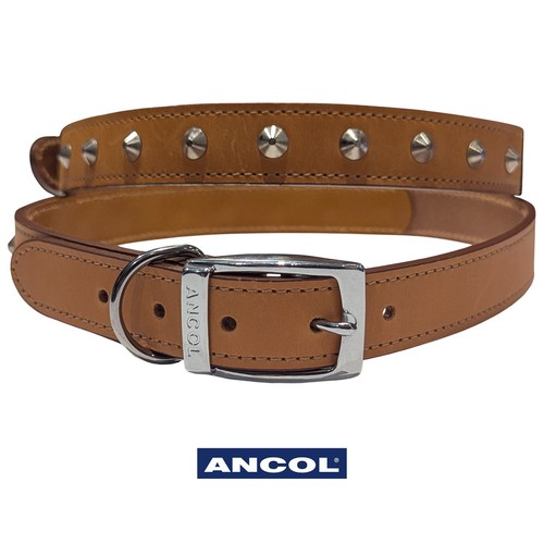 Dog collar leather tan studded - dog,