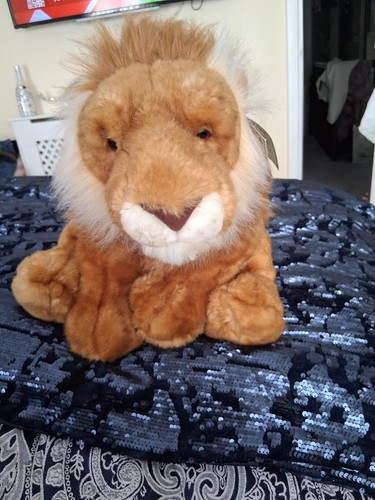 Beautiful large lion - lion, keel