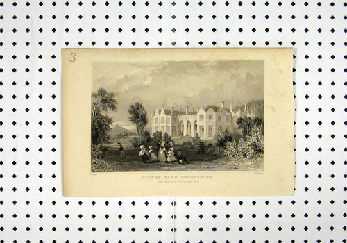 Old antique print - view, lifton