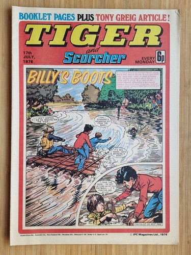 Tiger and scorcher - tiger,