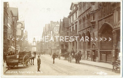 Chester eastgate pony - rp,