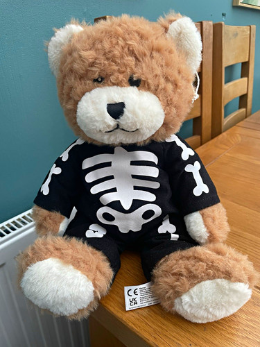 Brown plush teddy bear with - brown,