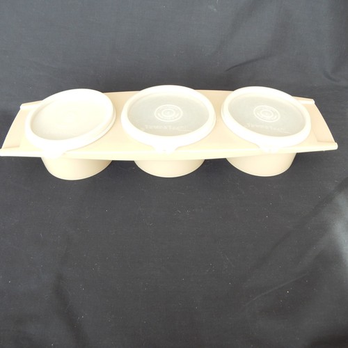Vintage tupperware condiment - vintage,