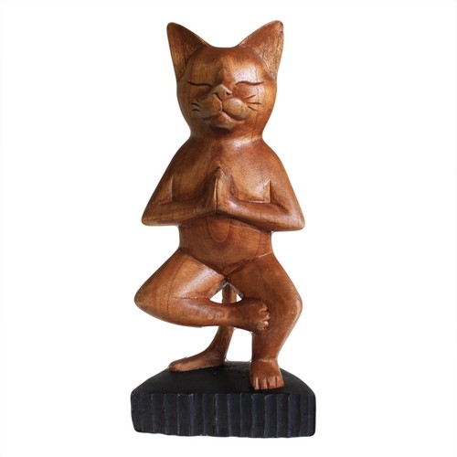 One leg yoga cat hand - leg,