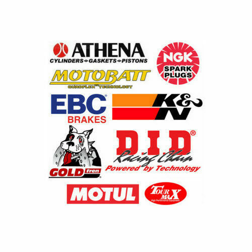 Cylinder base gasket - base,