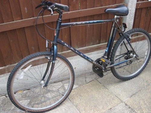 Raleigh amazon mountain - amazon, bike