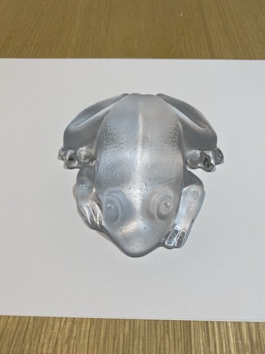 Torrasa glass frog lovely - la,