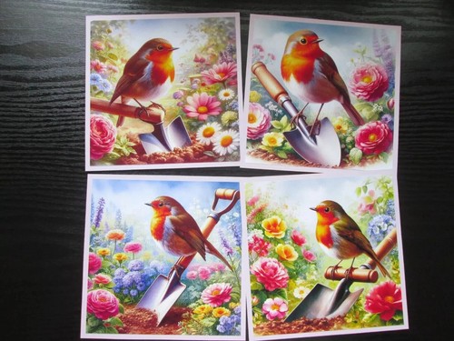 Sale x cute little robin - sale, 4