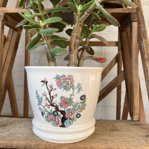 Vintage sylvac pottery plant - pottery,