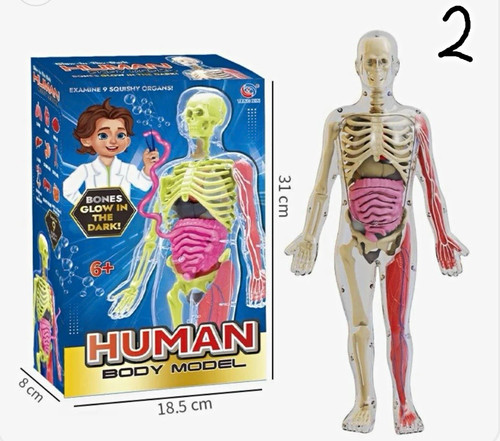 Glow the dark human body - in,