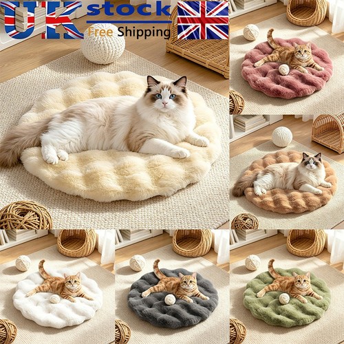 Fluffy plush cat - fluffy, bed