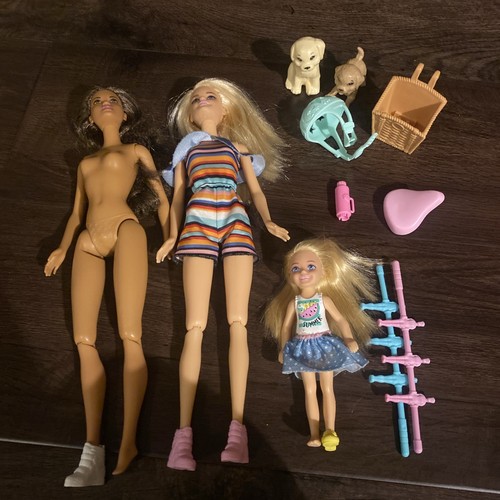 Barbie holiday fun dolls - holiday,