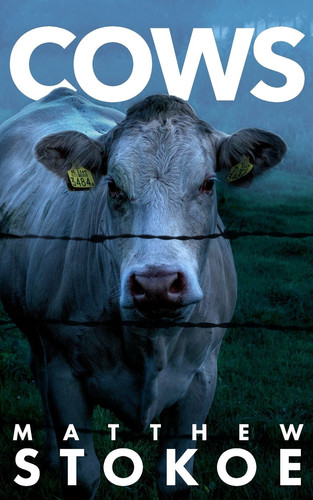 Cows - cows,
