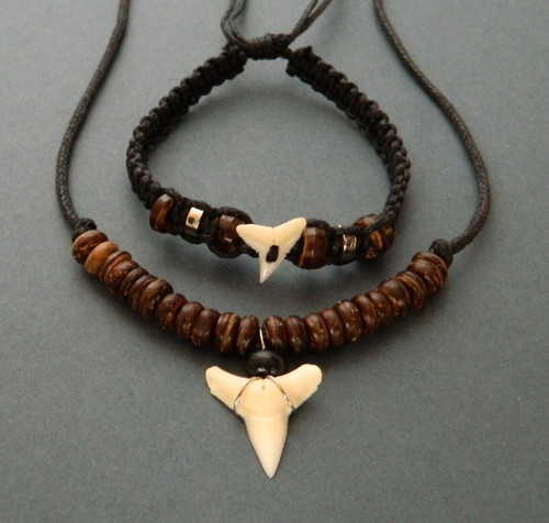 Necklace shark tooth - necklace,