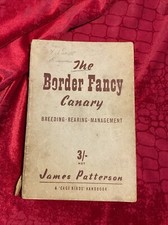 The border fancy - border, canary