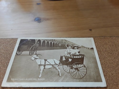 Postcard brighton madeira road - postcard,