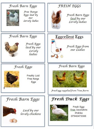 Egg carton personalised labels - personalised,