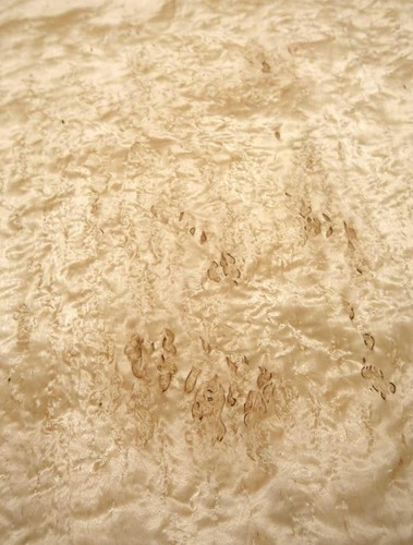 Birch veneer 66x57 59cm - birch, 66x57-59cm
