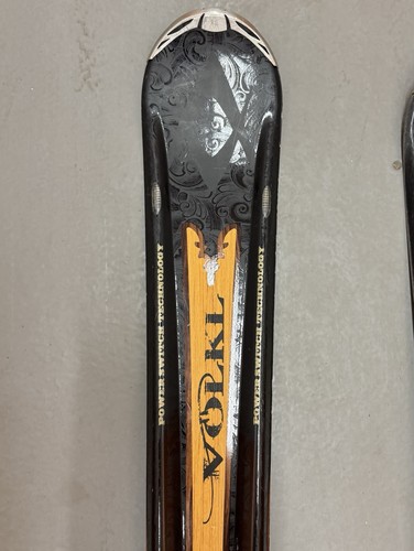 Volkl the grizzly 170cm - volkl,