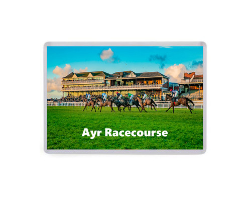 Ayr racecourse jumbo fridge - jumbo,