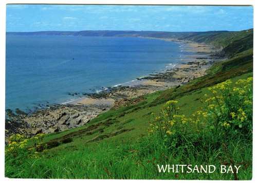Salmon postcard whitsand - salmon,