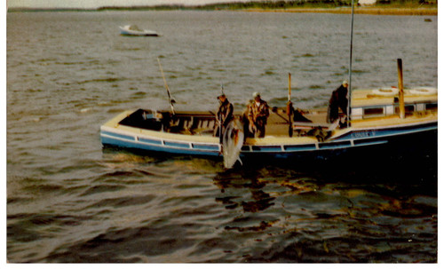 Tuna fishing wedgeport nova - fishing,
