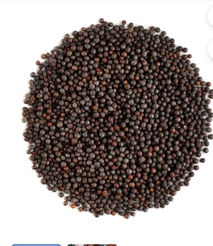 Semilla mostaza negra black - de, negra~black